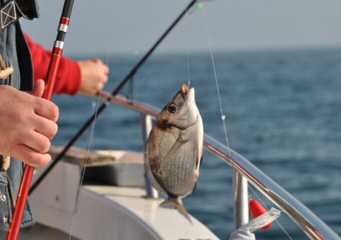 Cascais: Family Fishing With Welcome Drinks - Cancellation and Pricing