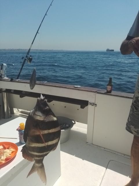 Cascais: Family Fishing With Welcome Drinks - Frequently Asked Questions