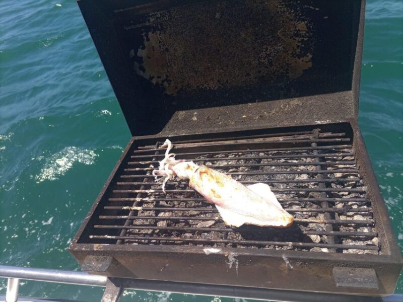 Cascais: Half-day Fishing Tour - Experience Highlights