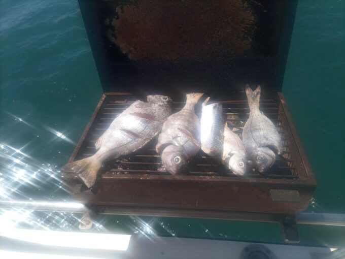 Cascais: Half-day Fishing Tour - Fishing Techniques