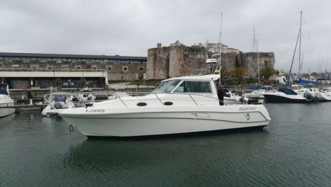 Cascais: Half-day Fishing Tour - Frequently Asked Questions