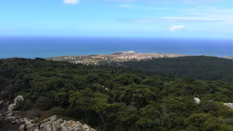 Cascais: Hiking in Sintra-Cascais Natural Park - Inclusions and Recommendations
