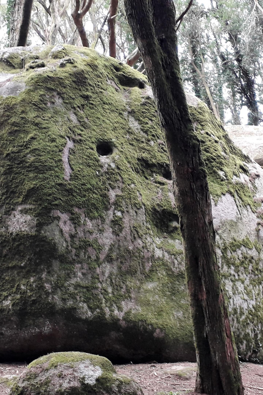 Cascais: Hiking in Sintra-Cascais Natural Park - Participant Information