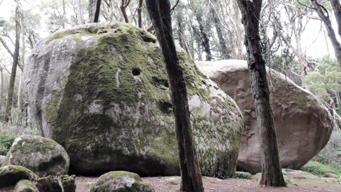 Cascais: Hiking in Sintra-Cascais Natural Park - Customer Reviews