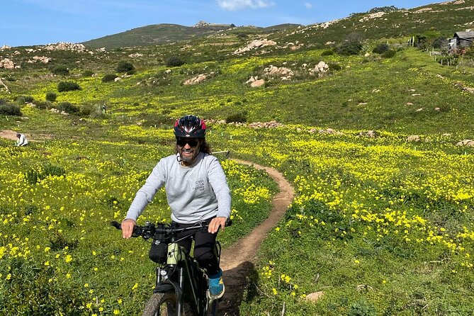 Cascais-Sintra E-Bike Tour: Discover Its Natural Beauty - Glowing Customer Feedback