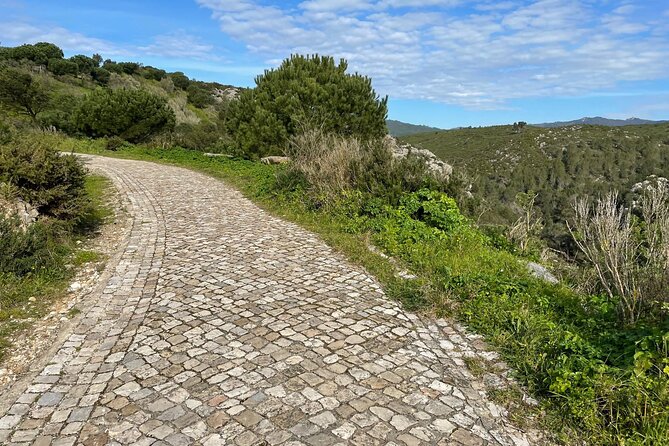 Cascais-Sintra E-Bike Tour: Discover Its Natural Beauty - Cancellation Policy