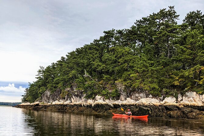 Casco Bay Half-Day Sea Kayak Tour - Tour Activities