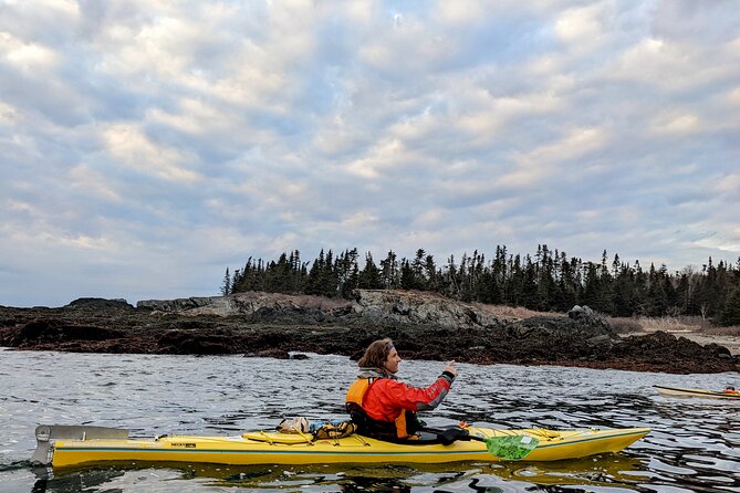 Casco Bay Half-Day Sea Kayak Tour - Tour Suitability