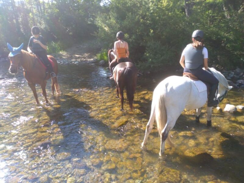 Casentino: Horseback Riding Tour With Verna Sanctuary View - Experience Highlights