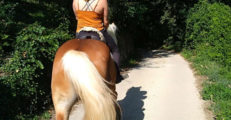 Casentino: Horseback Riding Tour With Verna Sanctuary View - Included in the Tour