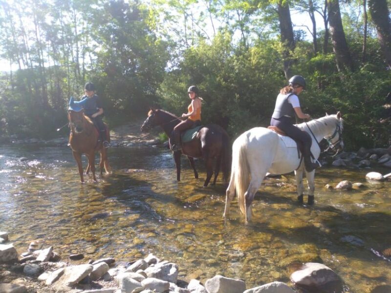 Casentino: Horseback Riding Tour With Verna Sanctuary View - Booking and Cancellation
