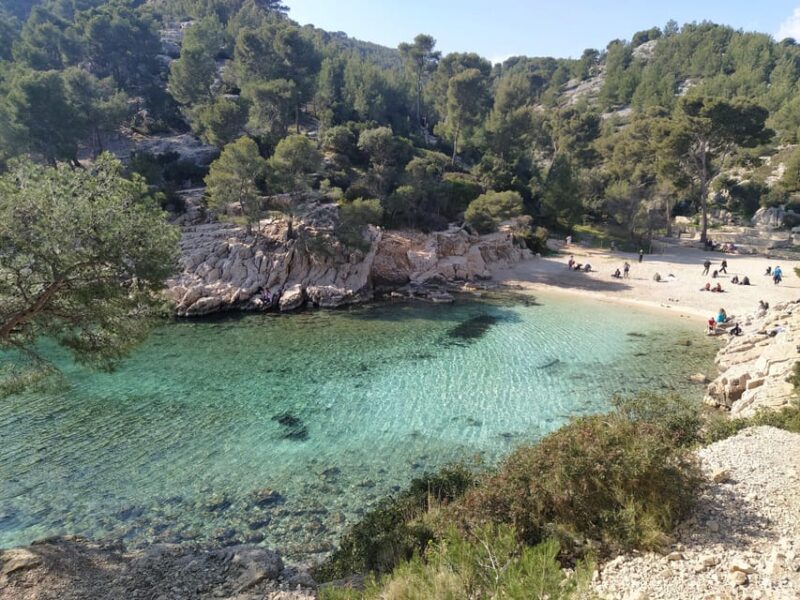 Cassis: 2 Calanques Hiking Tour With Swimming - Discovering the Calanque De Port-Pin