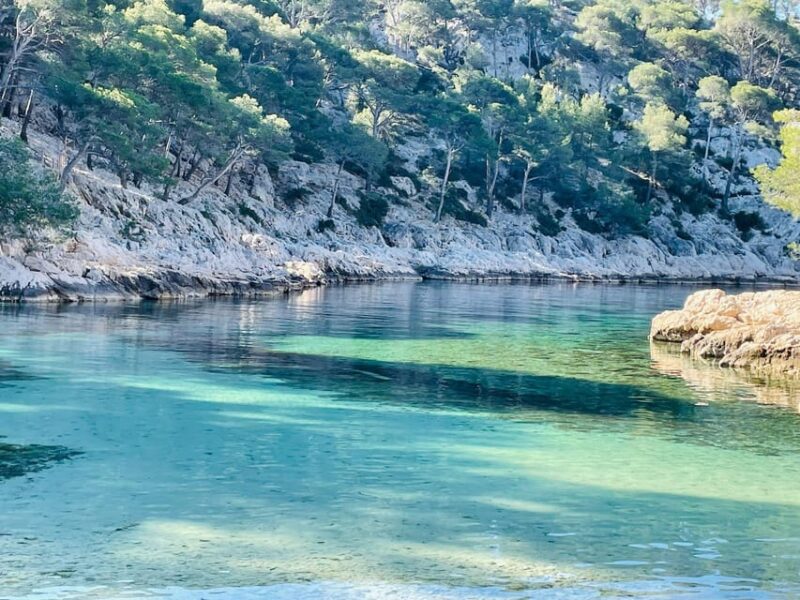Cassis: Calanques National Park Guided Hiking Half-Day Trip - Exploring the Calanques