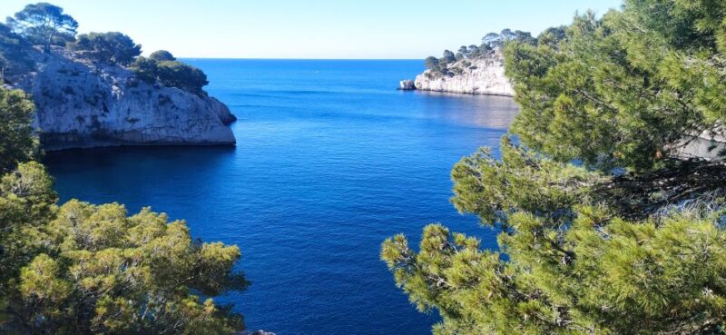 Cassis: Calanques National Park Guided Hiking Half-Day Trip - Customer Reviews