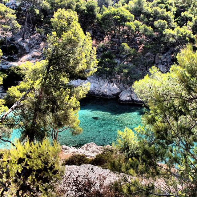 Cassis: Calanques National Park Sea Kayaking Tour - Highlights