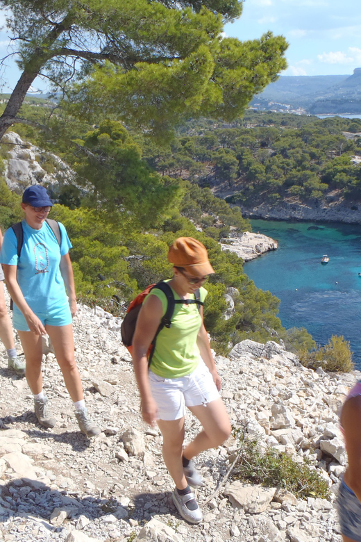 Cassis: Half-Day Calanques De Cassis Hike - Booking Information