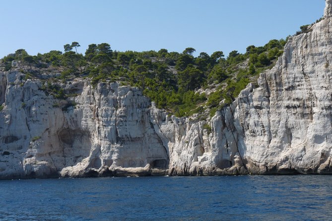 Cassis Half-Day Trip From Aix-En-Provence - Customer Feedback Highlights