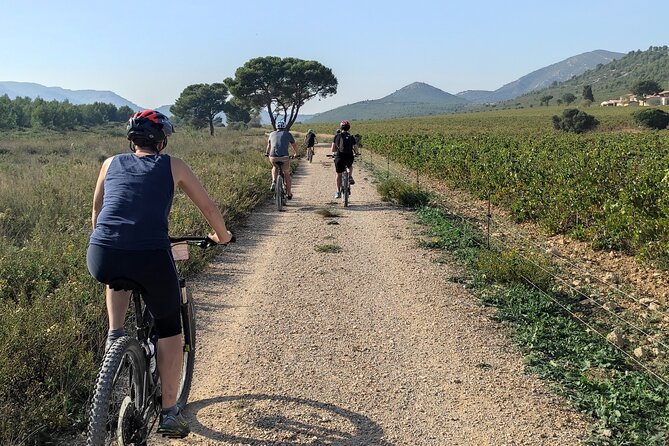 Cassis: Three Calanques Tour by Electric Mountain Bike - Exploring the Calanques National Park