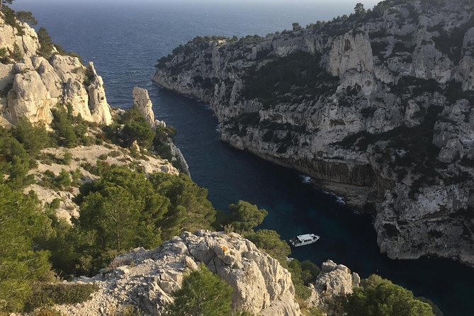 Cassis Wine Tour: Sea, Cliffs, and Vineyards - Health and Accessibility