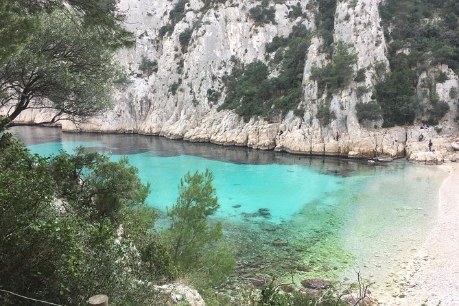 Cassis Wine Tour: Sea, Cliffs, and Vineyards - Experiencing the Tour