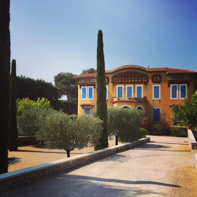 Cassis Wine Tour: Sea, Cliffs and Vineyards - Just The Basics