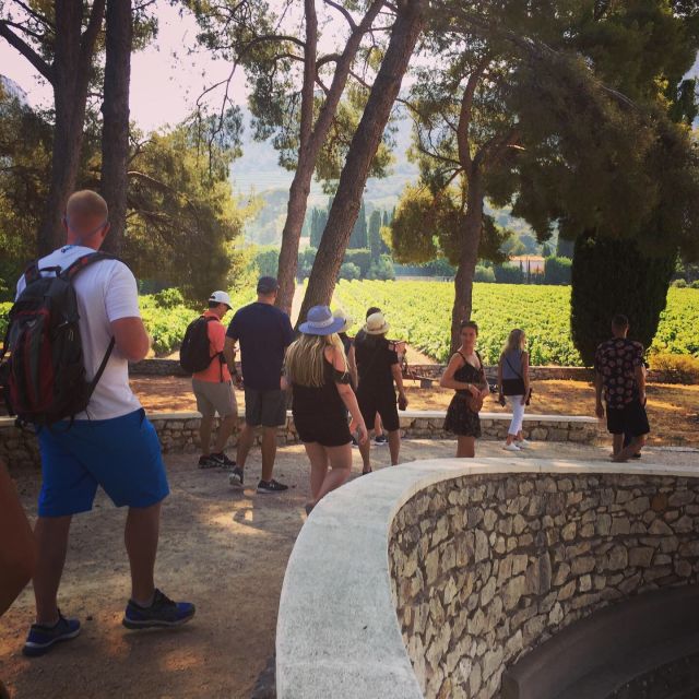 Cassis Wine Tour: Sea, Cliffs and Vineyards - Discovering Calanques National Park