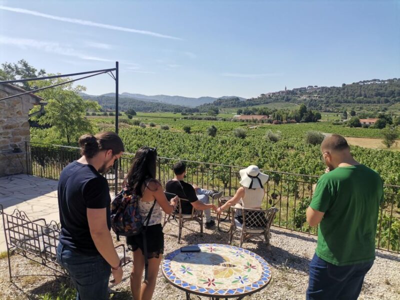Cassis Wine Tour: Sea, Cliffs and Vineyards - Visit to Local Markets