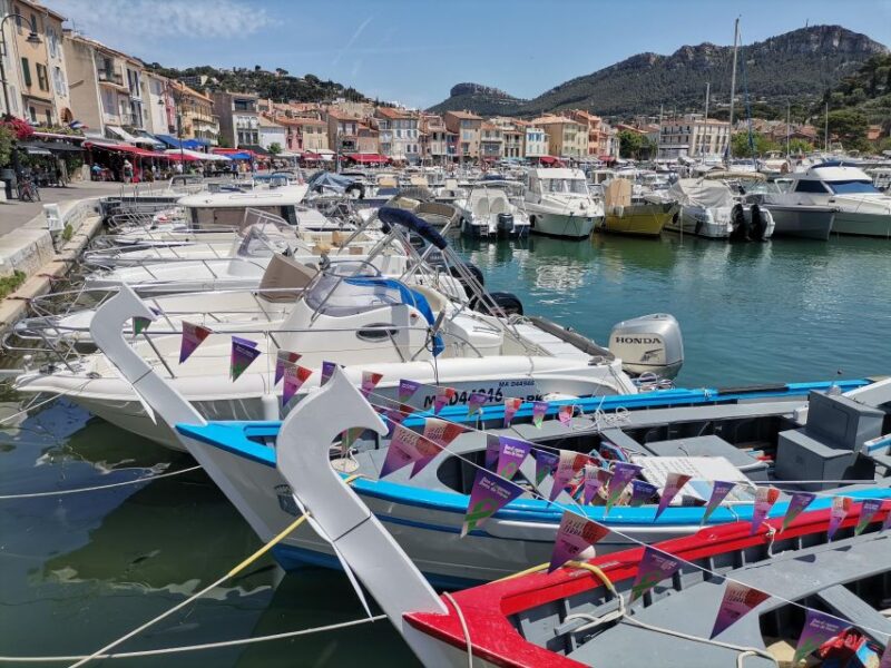 Cassis Wine Tour: Sea, Cliffs and Vineyards - Wine Tasting Experience