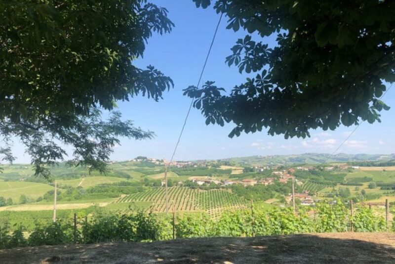 Castagnole Delle Lanze: Saffron Walking Tour W/ Wine & Food - Experience Highlights