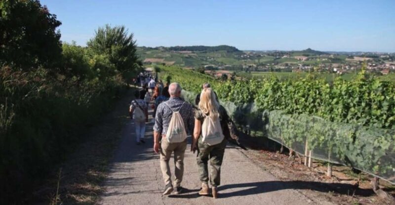 Castagnole Delle Lanze: Saffron Walking Tour W/ Wine & Food - Itinerary and Activities