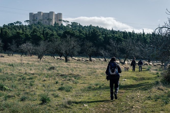 Castel Del Monte: Excursion in the Alta Murgia National Park - Architectural Marvel of Castel Del Monte