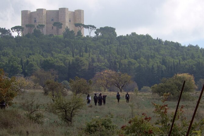 Castel Del Monte: Excursion in the Alta Murgia National Park - Guided Tour Experiences and Pricing