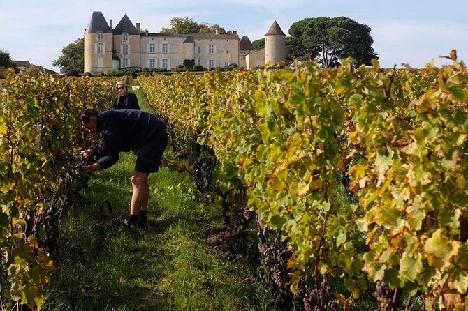 Castel Wine Tour in Bordeaux Margaux - Customer Feedback and Experiences