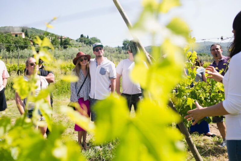 Castiglion Fiorentino: Buccelletti Wine Flight - Experience Overview