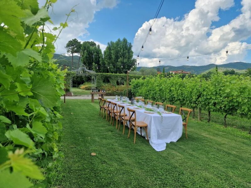 Castiglion Fiorentino: Buccelletti Wine Flight - Winery Background
