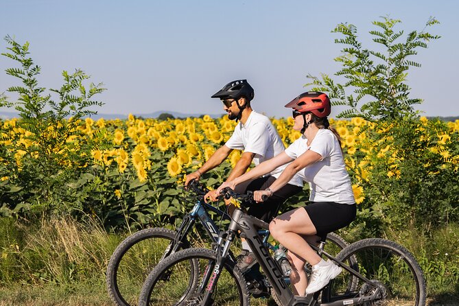 Castiglion Fiorentino - Ebike Tour and Wine Tasting [+40€] - Bike and Gear Details