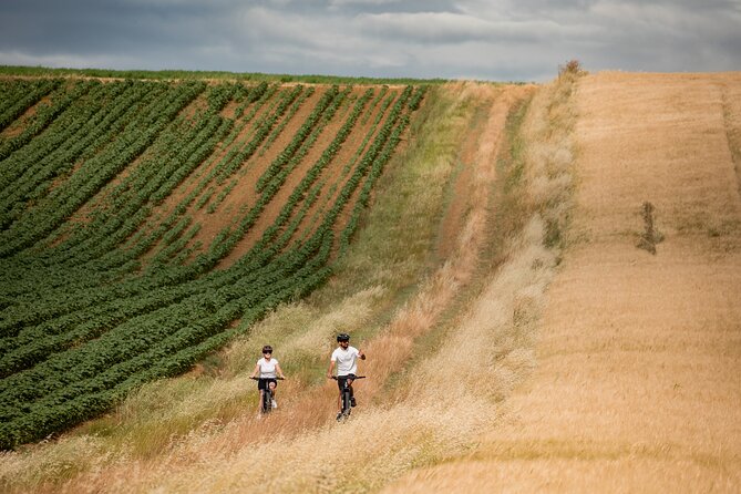 Castiglion Fiorentino - Ebike Tour in the Tuscan Countryside - Guided Tour Experience