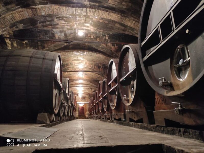 Castiglione Del Lago + Wine Tour + Visit Città Della Pieve - Itinerary Highlights