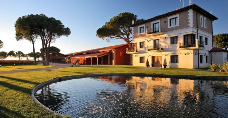 Castile and León: Vineyard Tour With Wine Tasting - Key Points