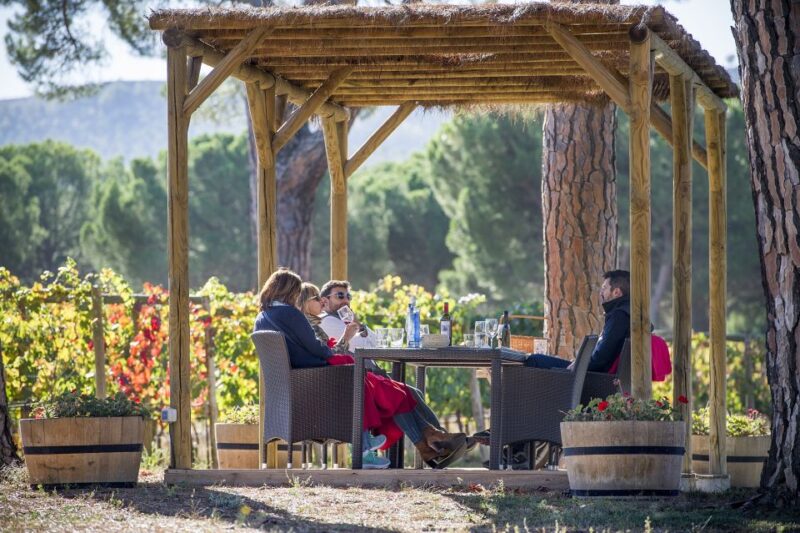 Castile and León: Vineyard Tour With Wine Tasting - Wine Tasting Details