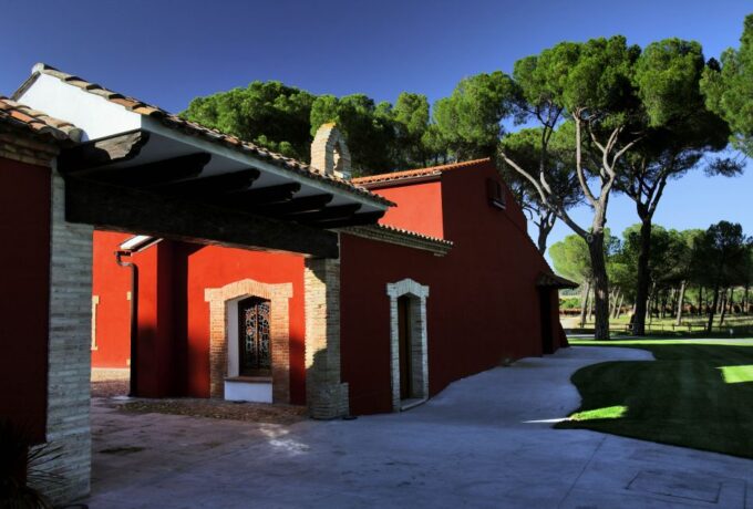 Castile and León: Vineyard Tour With Wine Tasting - Organic Farming Practices