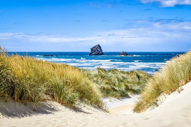 Castle, Coast & City Tour - 8 pax max - Castle Entrance Included - Comprehensive Review of the Castle, Coast & City Tour in Dunedin