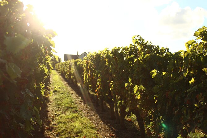 Castle Epicurean Experience With Wine & Local Specialties - Booking and Cancellation Policy