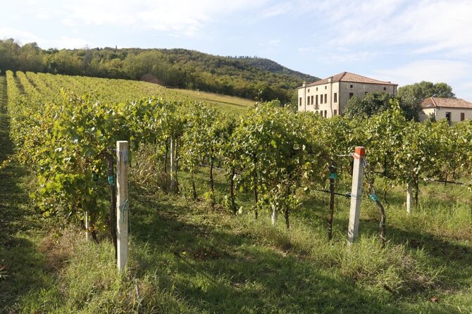 Castle, Medieval Village, Venetian Baroque Garden, Wine Tasting Private Tour - Pricing and Policies
