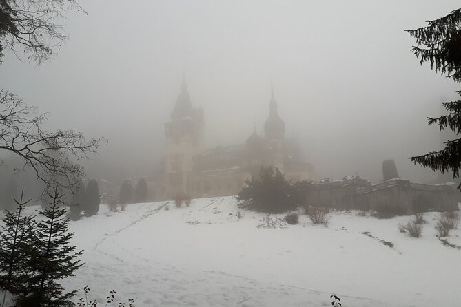Castles Day Tour Peles - Bran - Rasnov From Brasov - Tour Overview