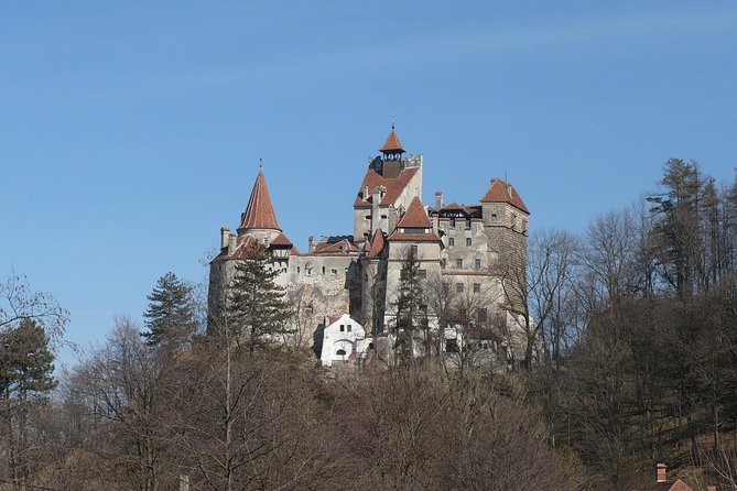 Castles Day Tour Peles - Bran - Rasnov From Brasov - Booking and Availability
