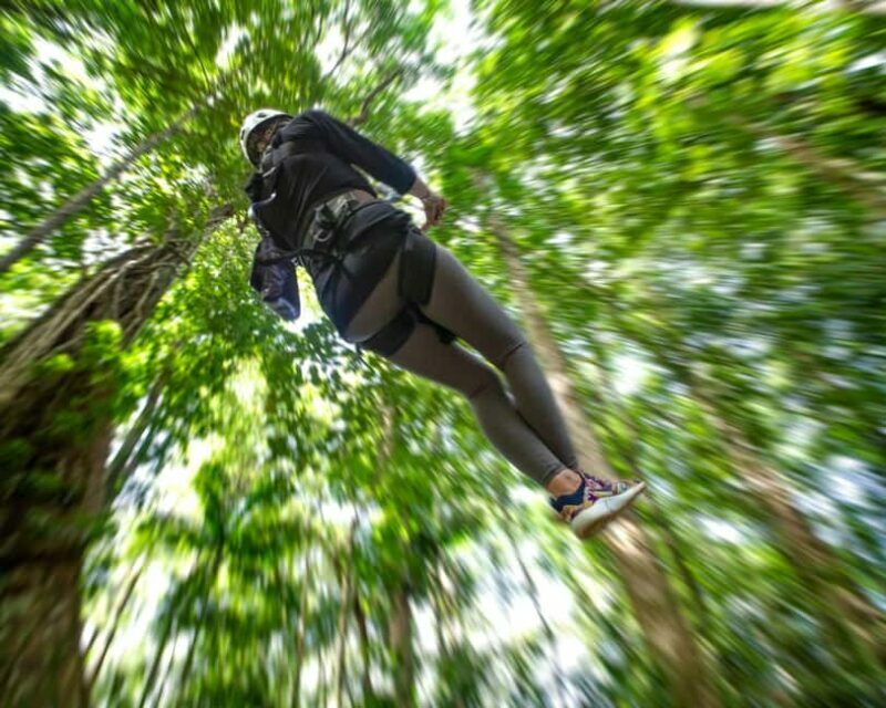 Castries, St. Lucia - Adrenaline Zipline - Key Points