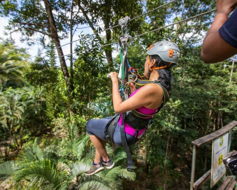 Castries, St. Lucia - Adrenaline Zipline - Authentic Reviews: What Visitors Are Saying