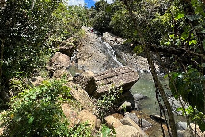 Casual One Day Tour: El Yunque, Waterslide, Beach, Dine, Shop - Dining and Shopping Opportunities