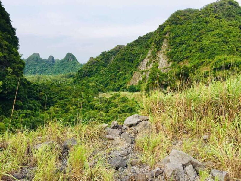 Cat Ba: 2-Day Lan Ha Bay Adventure And Trekking Tour - Customer Feedback